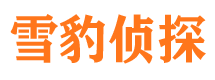 下城侦探公司